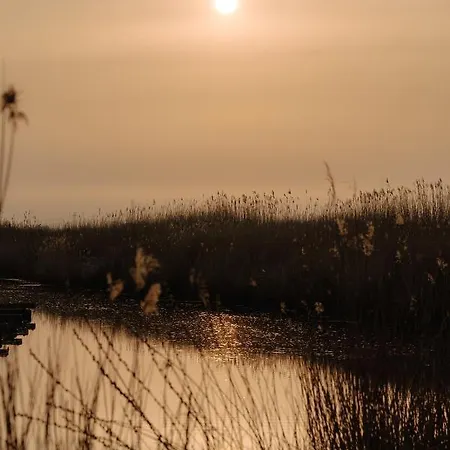 Zur Treene Ξενοδοχείο Schwabstedt