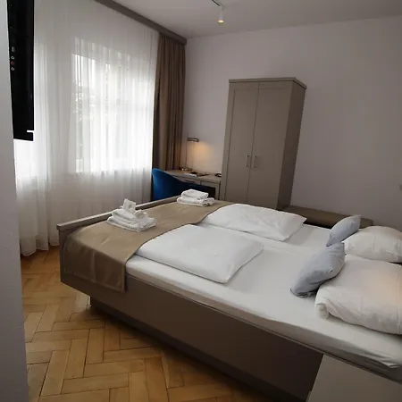 Zur Treene Hotel
