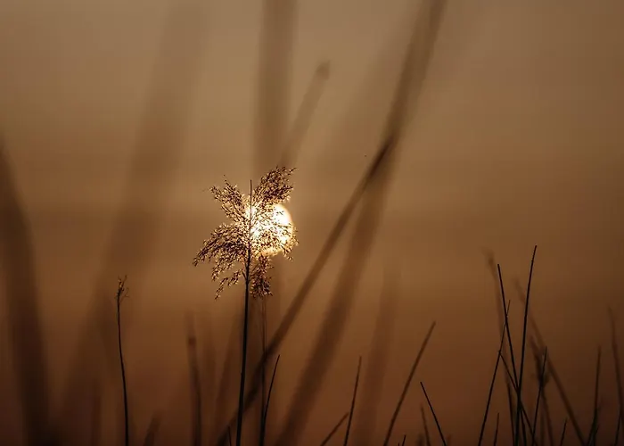 Zur Treene Schwabstedt