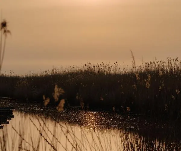 Zur Treene Hotel Schwabstedt